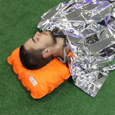 38787.jpg