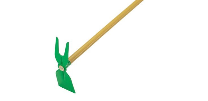 2484.jpg