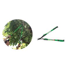Tesoura para poda com cabo telescópico TS40859 Trapp