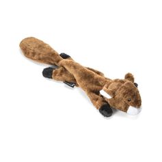 Brinquedo de Pelúcia para Cães - Esquilo Ted - Multilaser