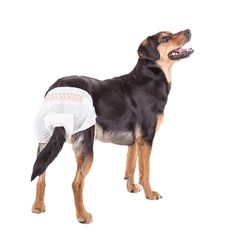 Fralda Higiênica Descartável Diaper - Fêmea G 12pcs - Multilaser