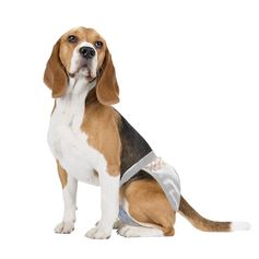 Fralda Higiênica Descartável Diaper - Fêmea M 12pcs Branco - Multilaser