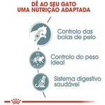 Ra  o Seca Royal Canin Hairball Care para Gatos Adultos 1 5kg  2
