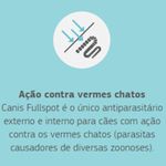 antiparasitario-labyes-canis-fullspot-para-caes-de-11-a-25kg-contem-1-pipeta-4 jpg