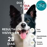 Ra  o Seca One Visible Nutrition para C es Adultos Porte M dio e Grande Frango e Carne 2kg 3