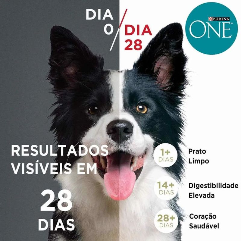 Ra  o Seca One Visible Nutrition para C es Adultos Porte M dio e Grande Frango e Carne 2kg 3