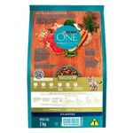 Ra  o Seca One Visible Nutrition para Gatos Filhotes Frango e Carne 2kg 1