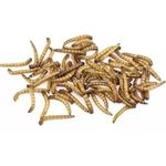 Ra  o Desidratada Prefere Ten brio para P ssaros 15g 2