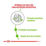 Ra  o Seca Royal Canin X-Small Adult para C es Adultos Porte Mini 2 5kg 1