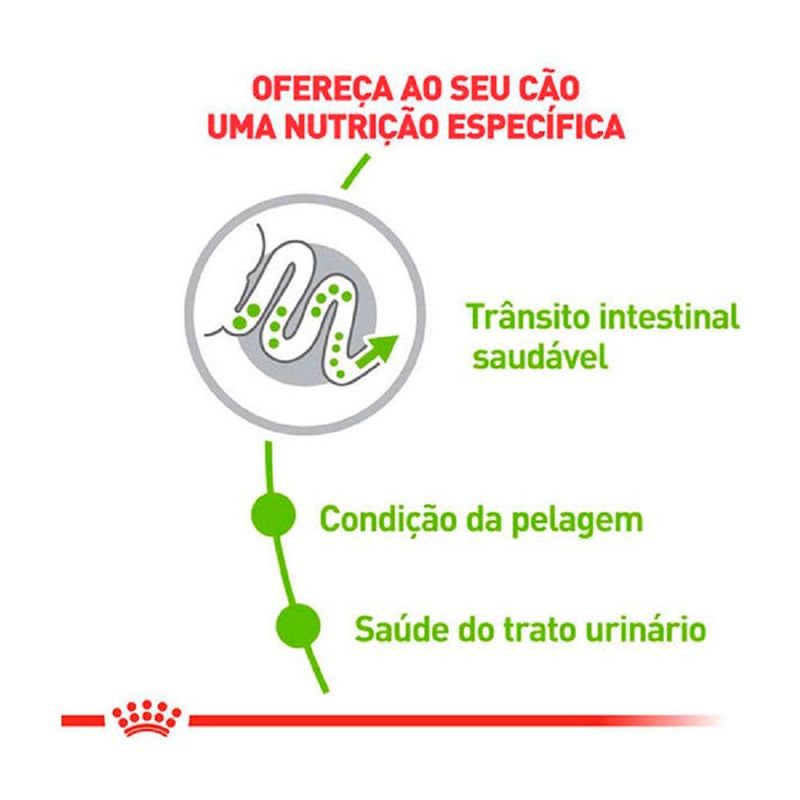 Ra  o Seca Royal Canin X-Small Adult para C es Adultos Porte Mini 2 5kg 1