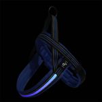Peitoral Multilaser Mimo com LED para C es Porte Grande Azul - Tamanho G  1