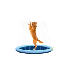 Tapete Meu Pet Chafariz para Cães