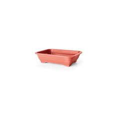Vaso Nutriplan Médio de Plástico para Bonsai Cerâmica