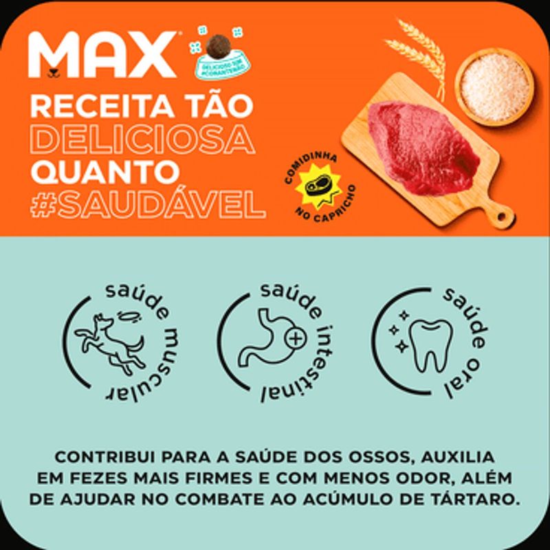 Ra  o Seca Max para C es Adultos Porte Pequeno  Carne e Arroz 10 1kg 1