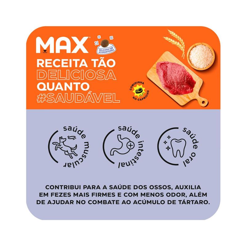 Ra  o Seca Max para C es Adultos Porte M dio e Grande Carne e Arroz 3kg 1