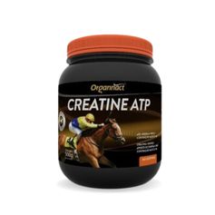 Suplemento Organnact Creatine ATP para Equinos 500g
