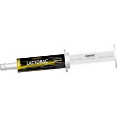 Suplemento Organnact Lactobac Equi para Equinos 66ml - Contém 1 seringa