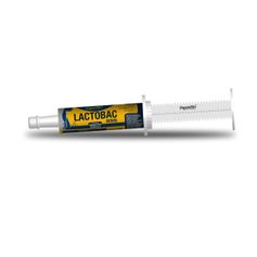 Suplemento Organnact Lactobac Bovis para Bovinos 35g - Contém 1 seringa