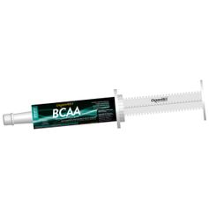 Suplemento Organnact BCAA para Equinos 53ml - Contém 1 seringa