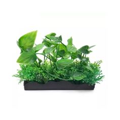 Enfeite Bom Amigo Alga Aqua Senlin Artificial para Aquário