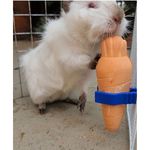 suplemento-alcon-club-rodent-para-roedores-30g-2 jpg