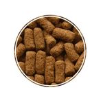 racao-alcon-carnivoros-para-peixes-300g-1 jpg