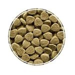 racao-alcon-bottom-fish-para-peixes-ornamentais-150g-2 jpg