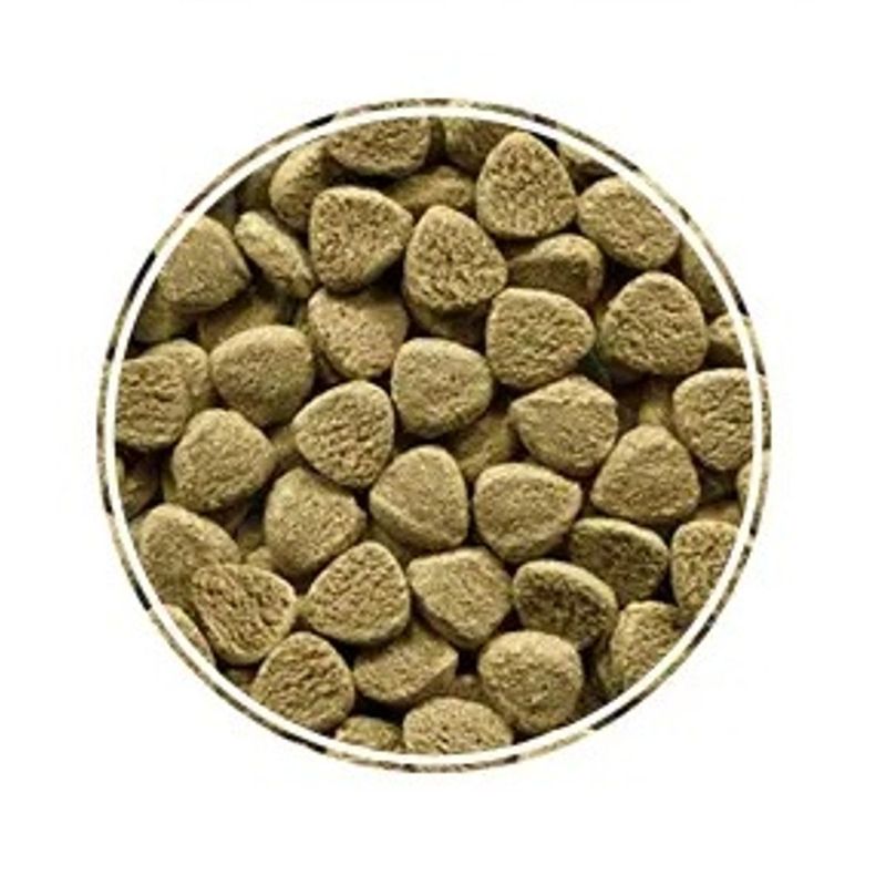racao-alcon-bottom-fish-para-peixes-ornamentais-150g-2 jpg