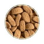 racao-alcon-carnivoros-superficie-para-peixes-carnivoros-porte-medio-e-grande-80g-1 jpg