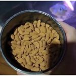racao-alcon-carnivoros-superficie-para-peixes-carnivoros-porte-medio-e-grande-80g-2 jpg