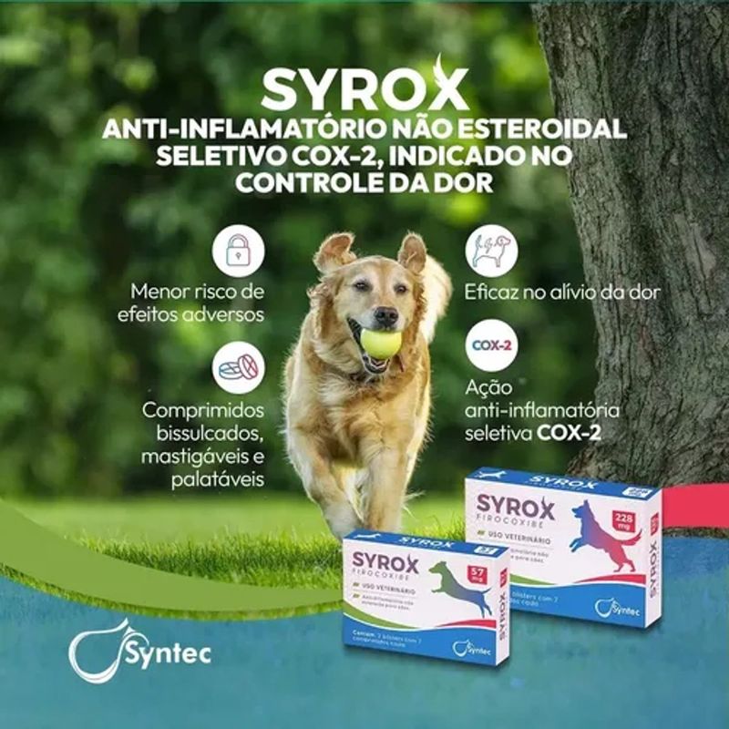 Anti-Inflamat rio Syntec Syrox para C es 57mg - Cont m 14 comprimidos 2