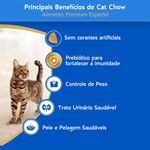 Ra  o Seca Cat Chow Defense Plus para Gatos Castrados Peixe 2 7kg 2