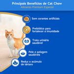 Ra  o Seca Cat Chow Defense Plus para Gatos Castrados Frango 10 1kg 2