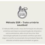 Ra  o Seca Premier Ambientes Internos para Gatos S nior Castrados 12  Frango 1 5kg 1