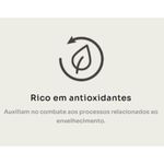 Ra  o Seca Premier Ambientes Internos para Gatos S nior Castrados 12  Frango 1 5kg 2