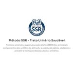 racao-umida-premier-nutricao-clinica-urinario-para-gatos-adultos-70g-1 jpg