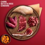Alimento Natural Livelong para Gatos Del cias de Carne 300g 5