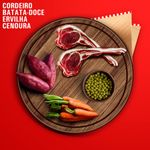 Alimento Natural Livelong para C es Cordeiro 300g 5