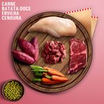 Alimento Natural Livelong para C es Carne 300g 5