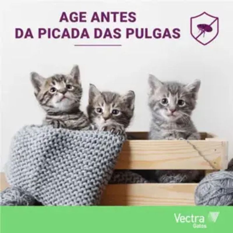 Antipulgas Ceva Vectra 1ml para Gatos at  10kg - Cont m 3 pipetas 1