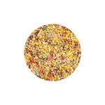 Ra  o P ssaros do Vale Mistura para P ssaros de Jardim 5kg 1
