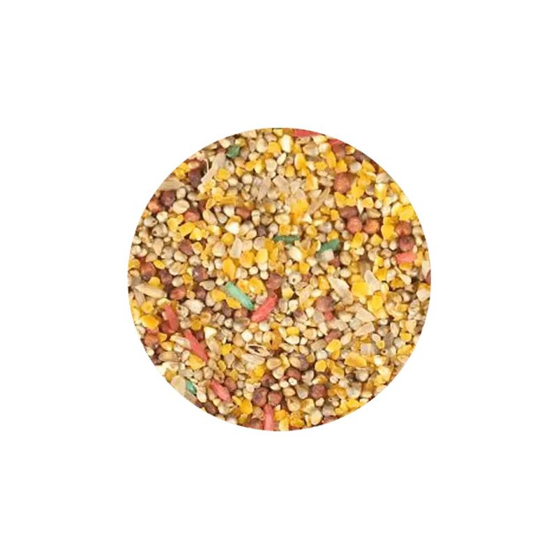 Ra  o P ssaros do Vale Mistura para P ssaros de Jardim 5kg 1
