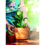 Vaso Nutriplan Nutricoco Fibra de Coco para Plantas N2 1