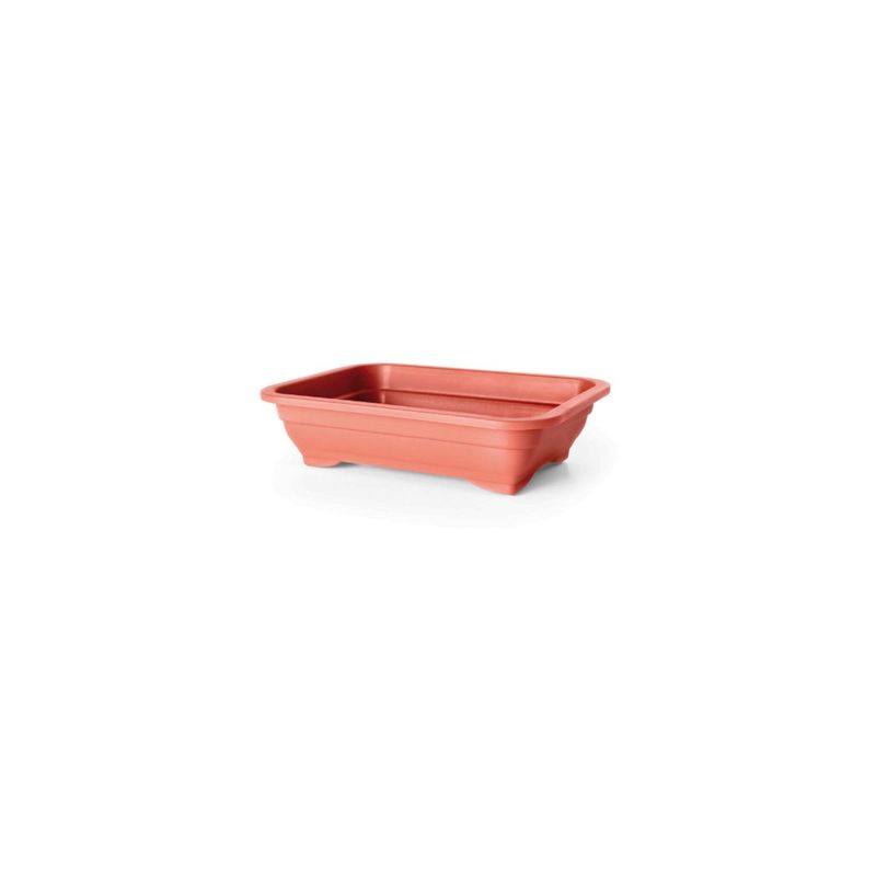 Vaso Nutriplan M dio de Pl stico para Bonsai Cor Cer mica  0