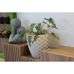 Vaso Nutriplan Elo Redondo para Plantas Cor Cimento 22cm 2