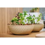 Vaso Nutriplan Infinity Concha para Plantas Cor Preto 19cm 1