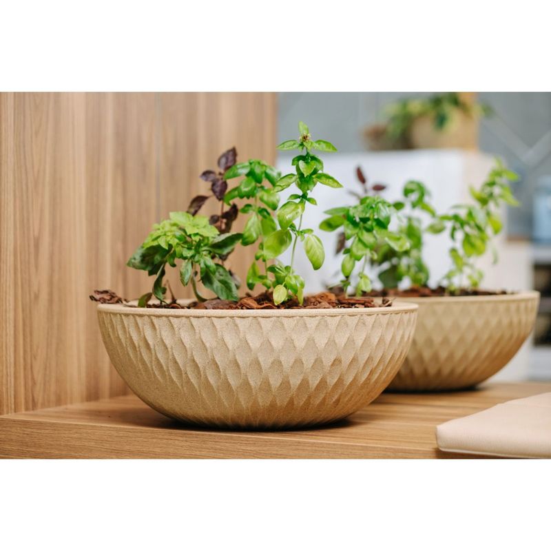 Vaso Nutriplan Infinity Concha para Plantas Cor Preto 19cm 1
