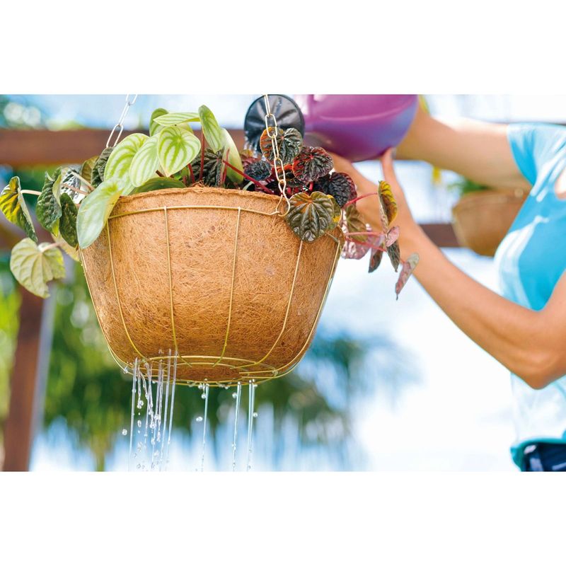 Kit Nutriplan Nutricoco Cuia M dio para Plantas 2