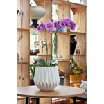 Vaso Nutriplan Origami Redondo para Plantas Cor Cimento 22cm 1