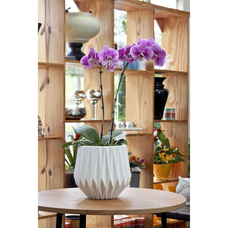 Vaso Nutriplan Origami Redondo para Plantas Cor Cimento 22cm 1